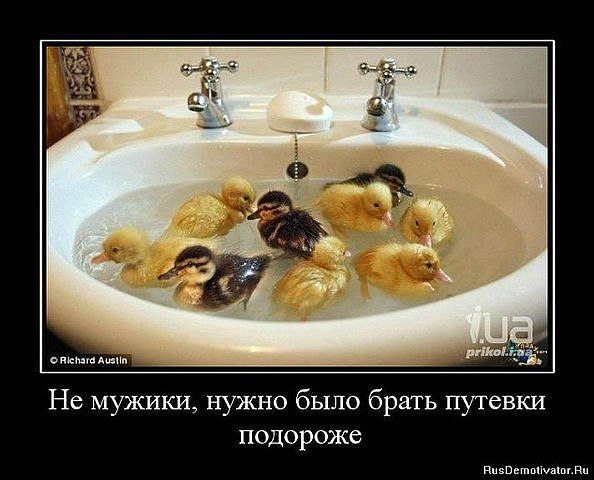 Дмитрий Мальвинский | Молодечно