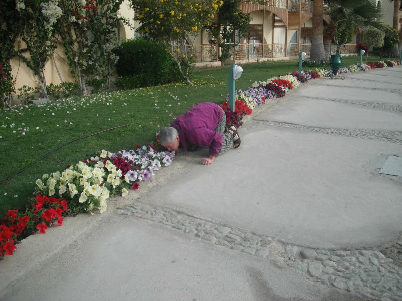 Гульнара Фатихова | Уфа