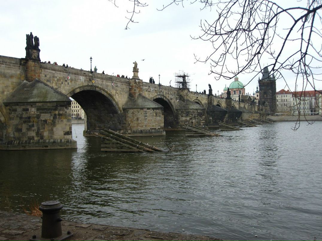 Светлана Veselkovaa | Москва