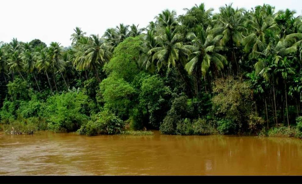 №121, Лена Галаган, Киев №121, Лена Галаган, Киев