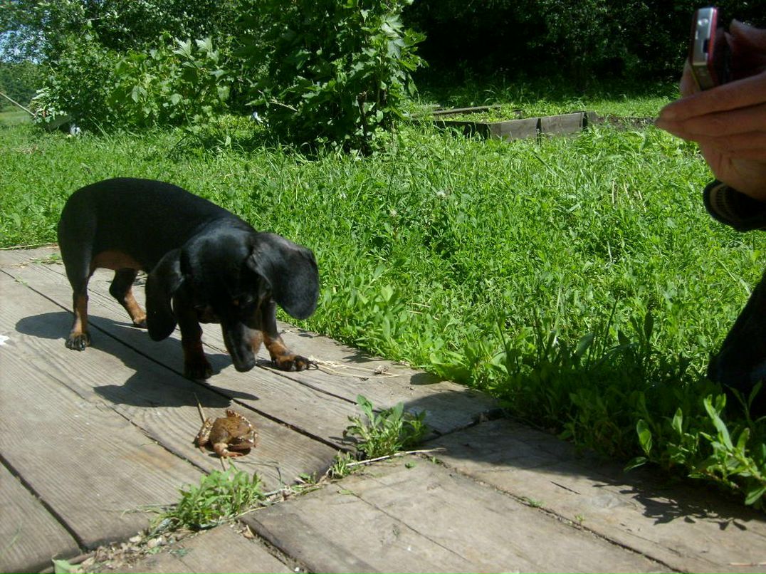 Александр Перепухов | Москва