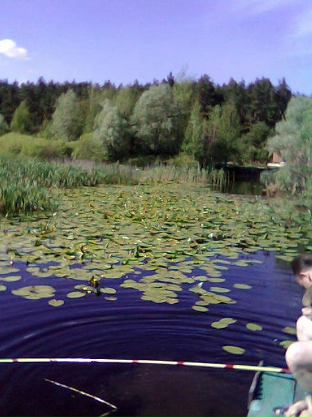 Wlad Mira фото профиля #13