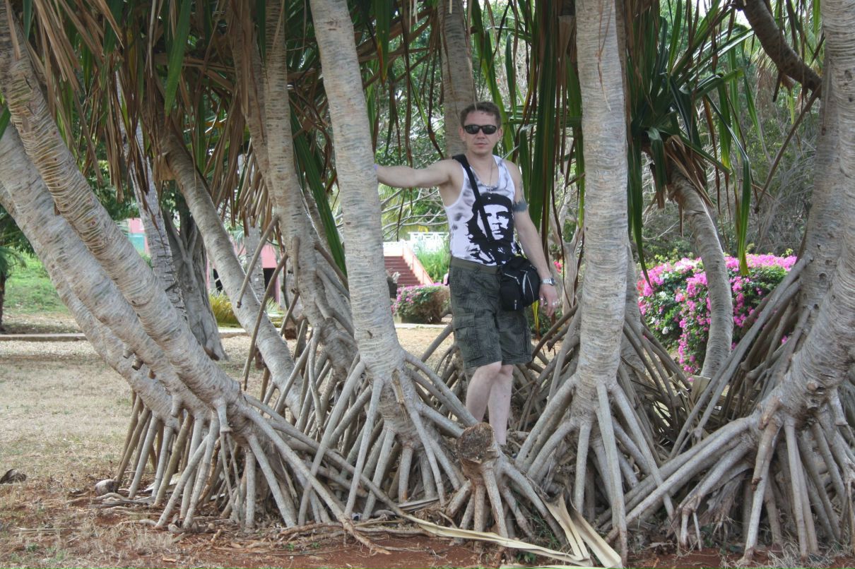 Константин Сычев | Tisdale No. 427