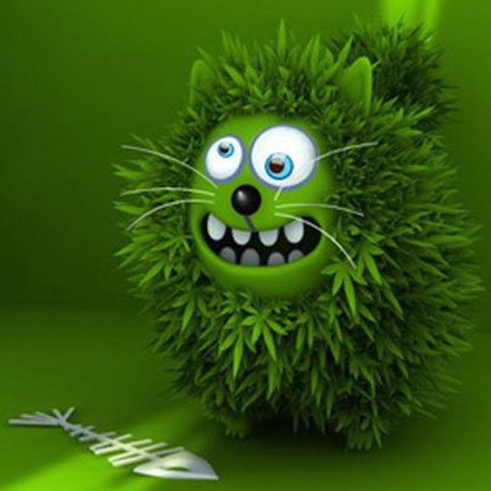 Antorium Laurensis | Санкт-Петербург