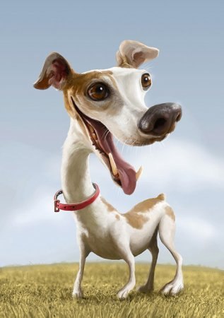 Марина Шаковец | Санкт-Петербург