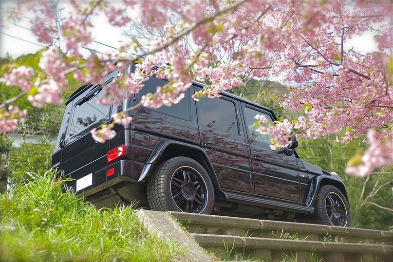 Александр Чаус | Николаев