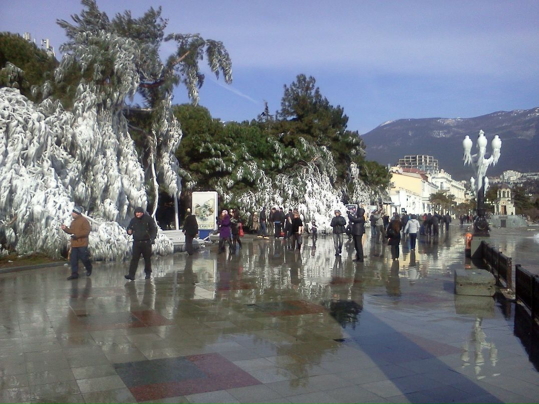 Артем Фрунза | Алушта