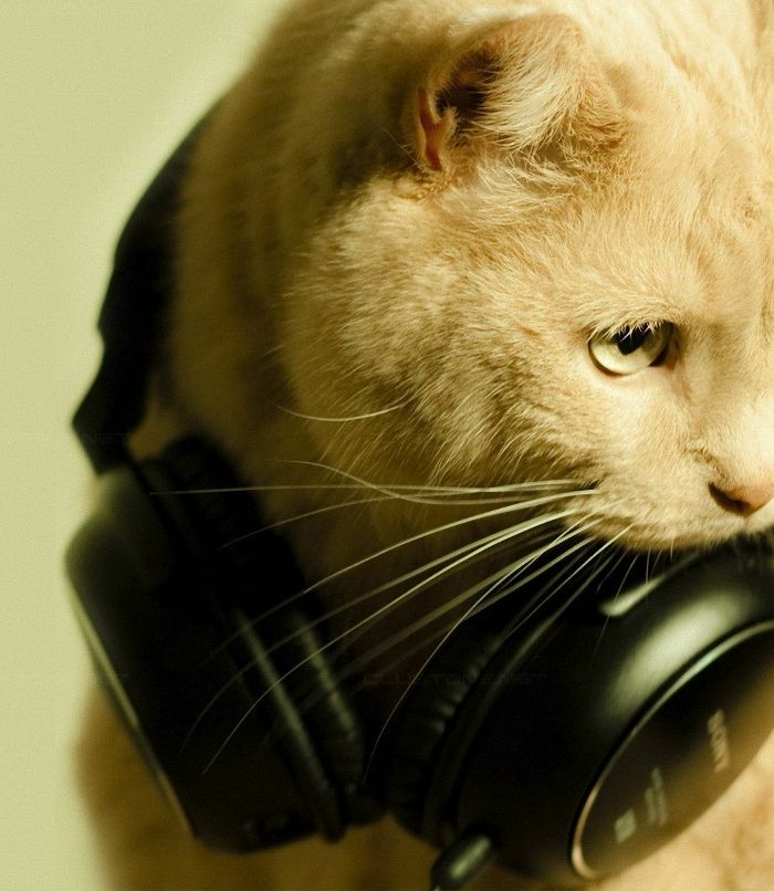 Данил Веселов | Санкт-Петербург