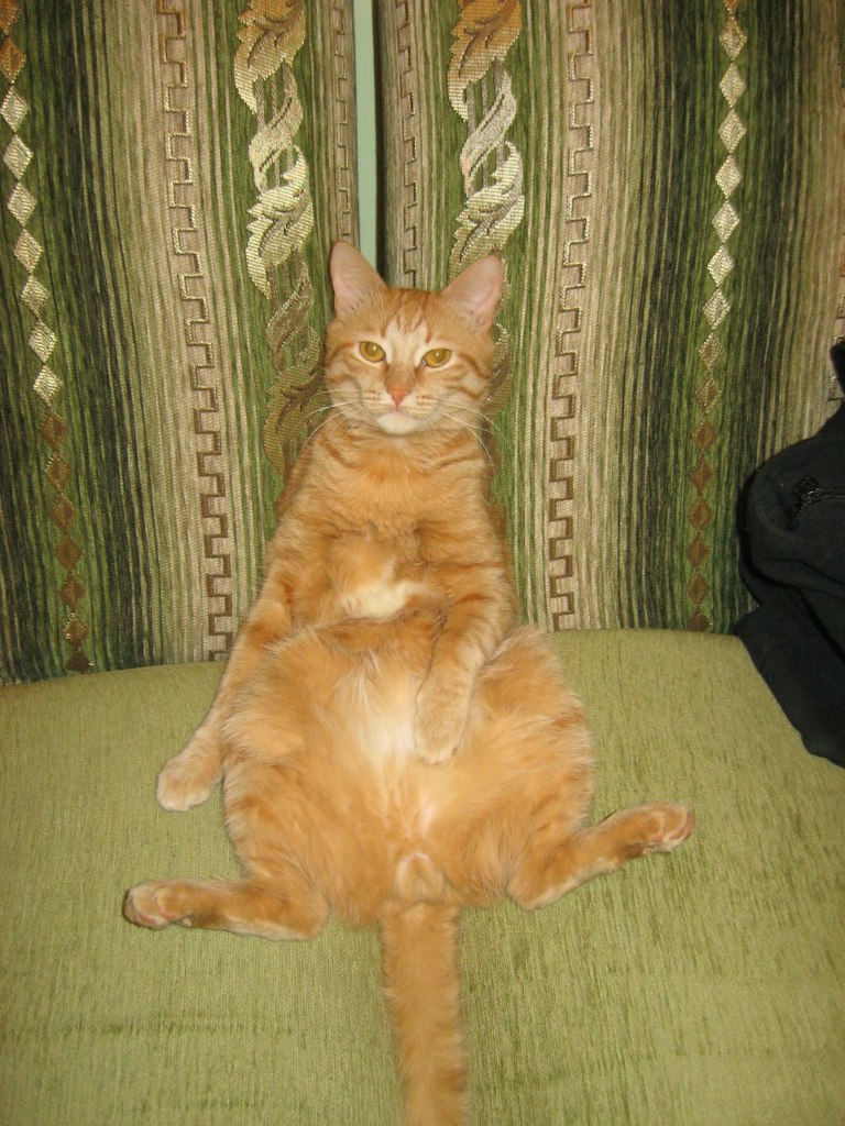 Екатерина Трондина | Самара