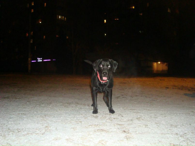 Ира Быстрова | Одесса