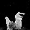 Аватар: Ighihghbhghbh Bhbhjkufk