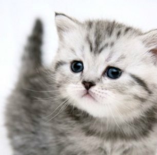 Руслан Дмитриев Иванович | Липецк