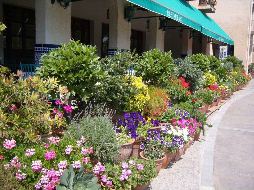 Вера Варзунова | Череповец