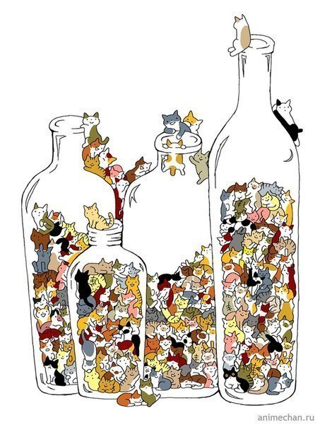 Юлия Бексяк | Хмельницкий