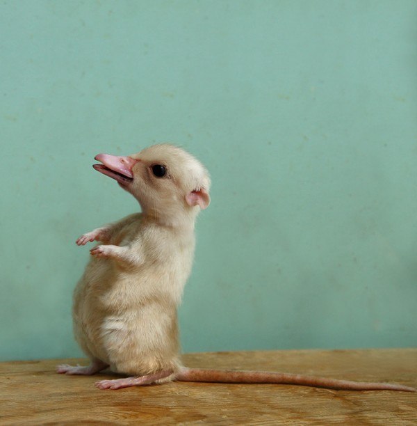 Olga Bu | Можайск