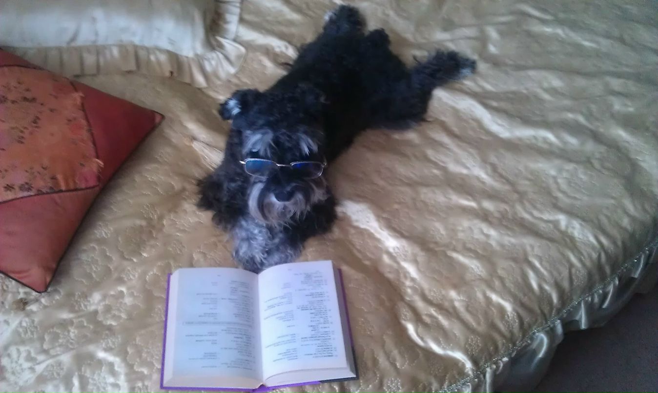 Мария Половинкина | Одинцово