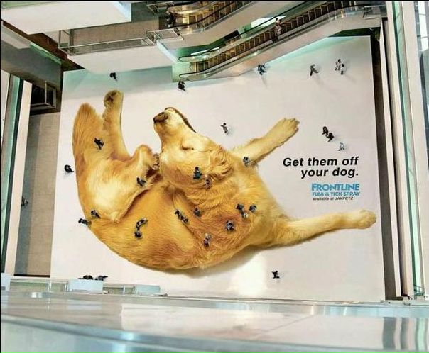 №38, Полина Егорова №38, Полина Егорова