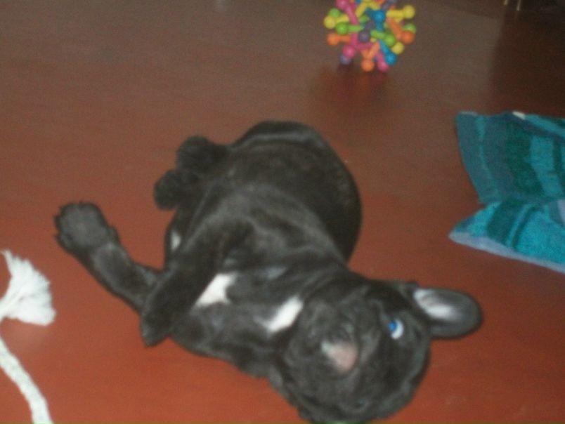 №31, Михаил Прохоров, 46 лет, Харьков №31, Михаил Прохоров, 46 лет, Харьков