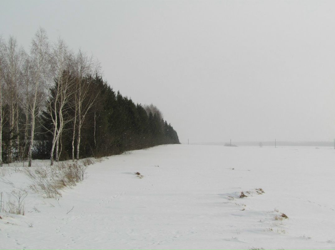 Айдар Хазиев | Набережные Челны