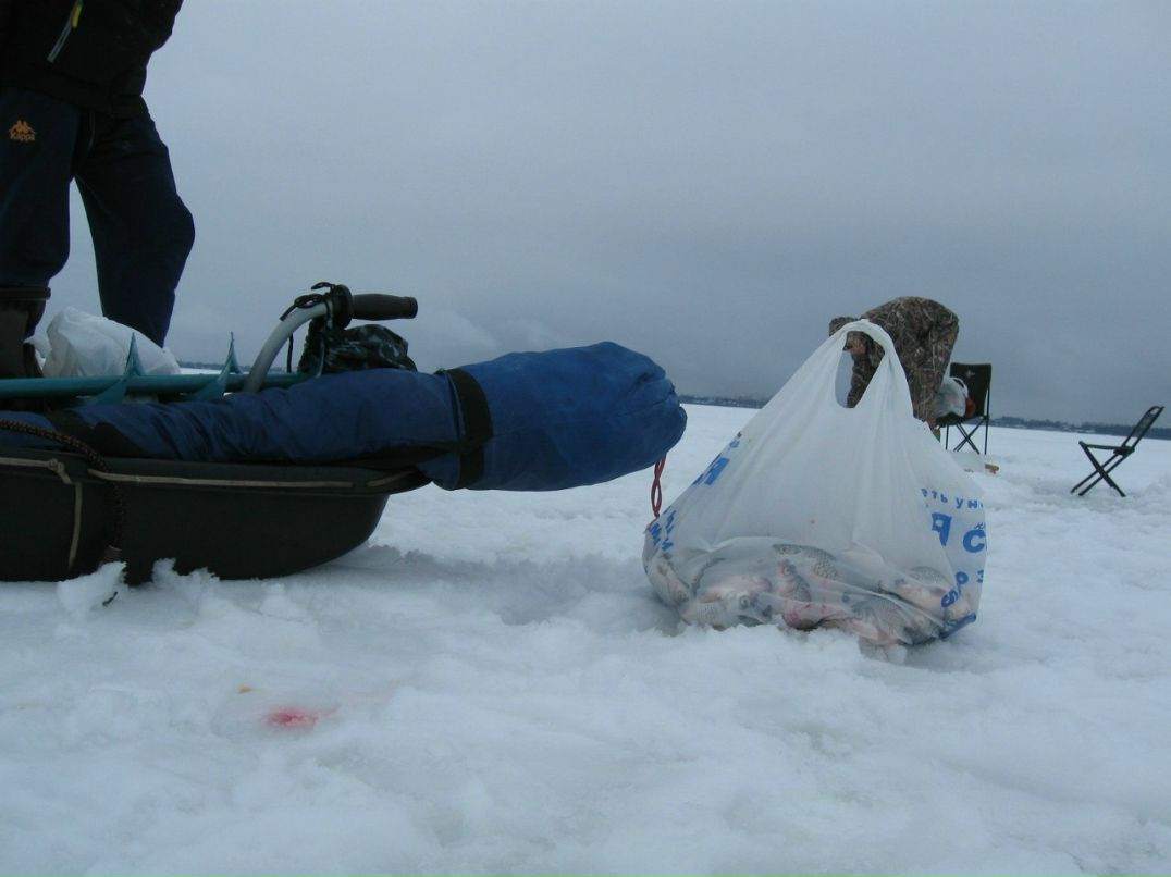 Алексей Гора | Санкт-Петербург