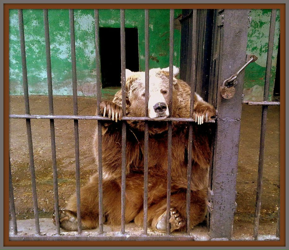 Дмитрий Топычканов | Пермь