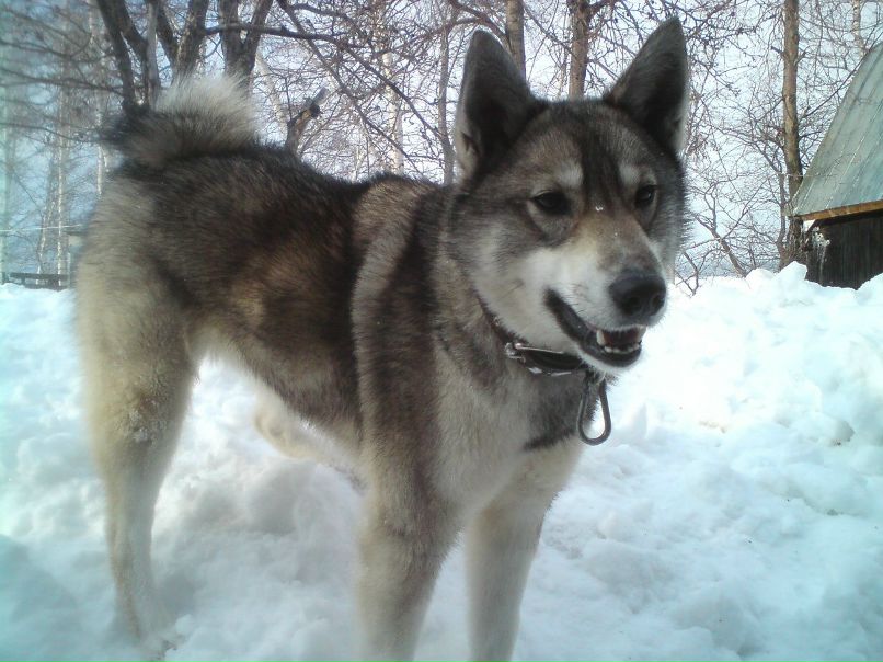 Дмитрий Волков | Чебоксары