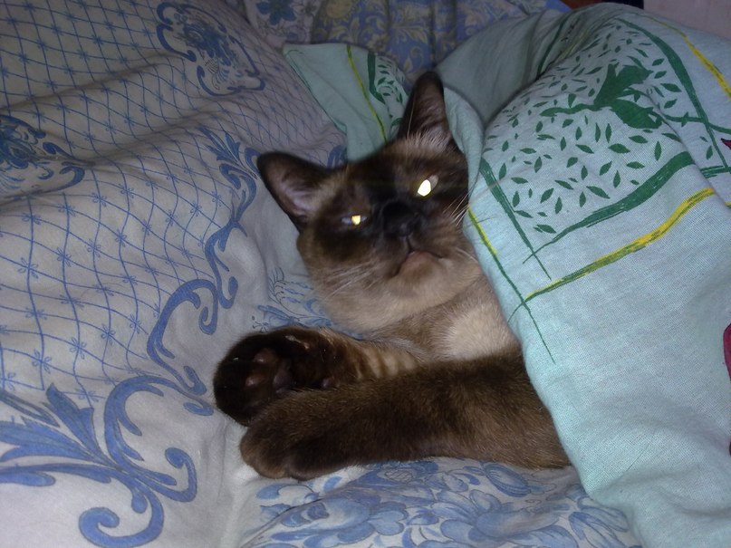 Дима Копачель | Лида