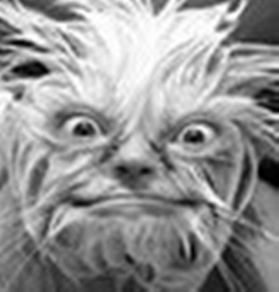 Валерий Ахраменко | 