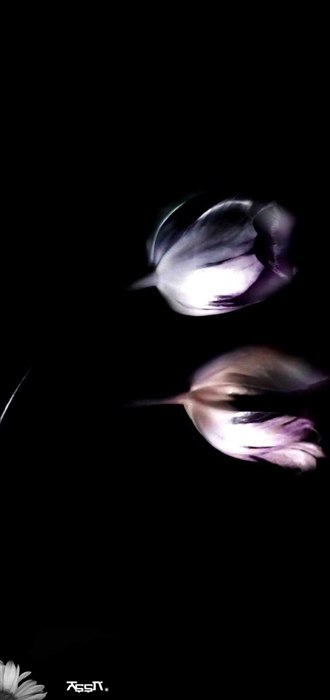 Илья Долгов | Косиха