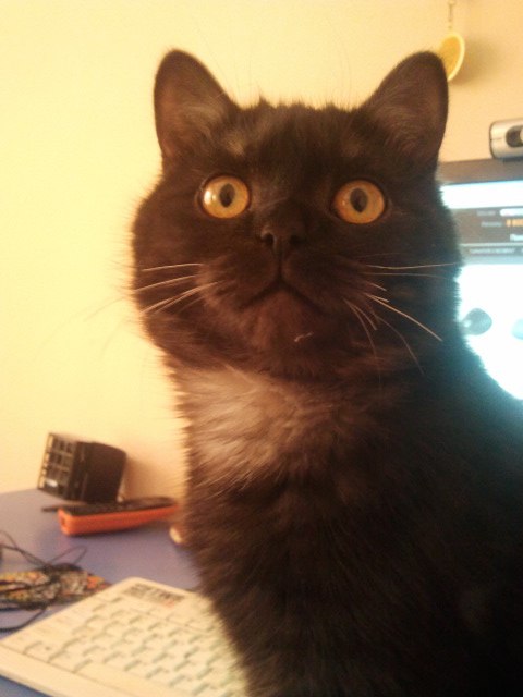 Кирилл Петрович | Shenyang