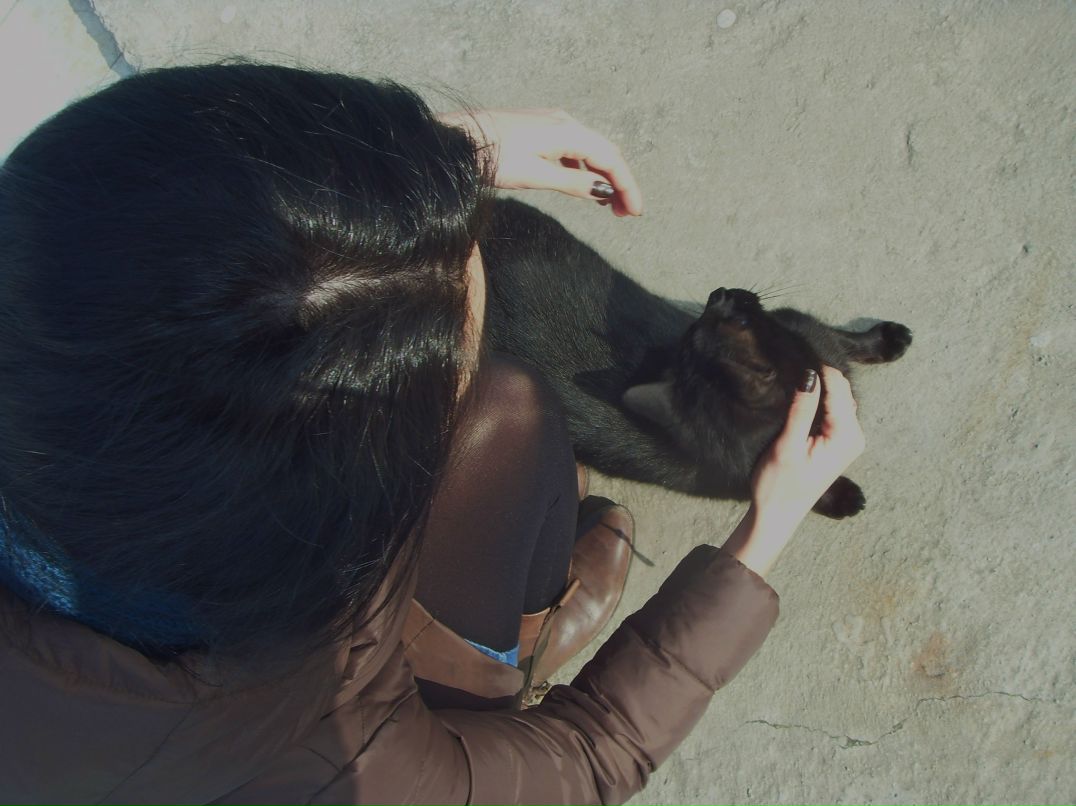 Екатерина Топал | Волгоград