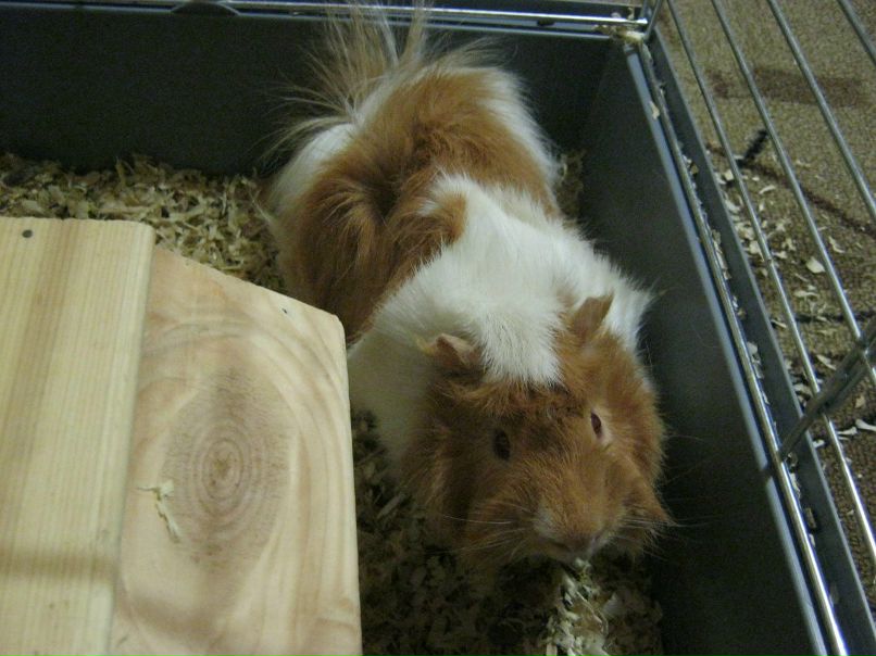 Нина Трушникова | Воркута