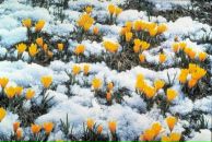 №20 Мишка Грендыш 09.02.1987: профиль, фото, статус - ВКонтакте