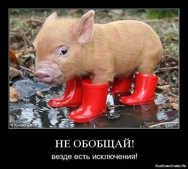 Владимир Ражев 