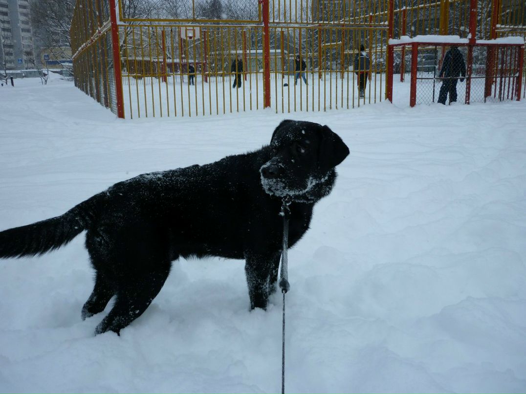 Елена Карбовская | Москва