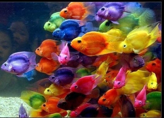 Светлана Светикова | Самара