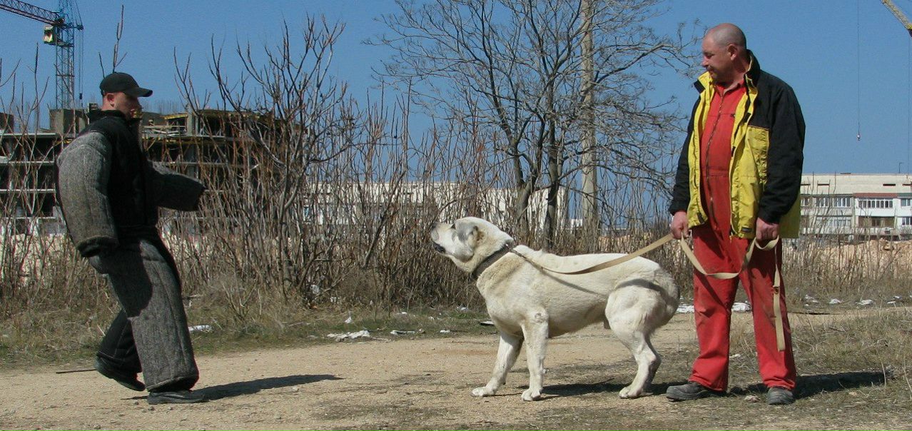 №2, Руслан Гордеев, Львов №2, Руслан Гордеев, Львов