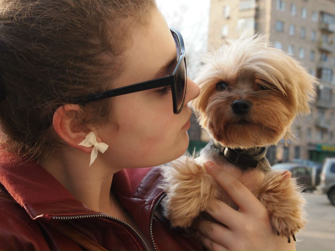 Александра Даллакян | Москва