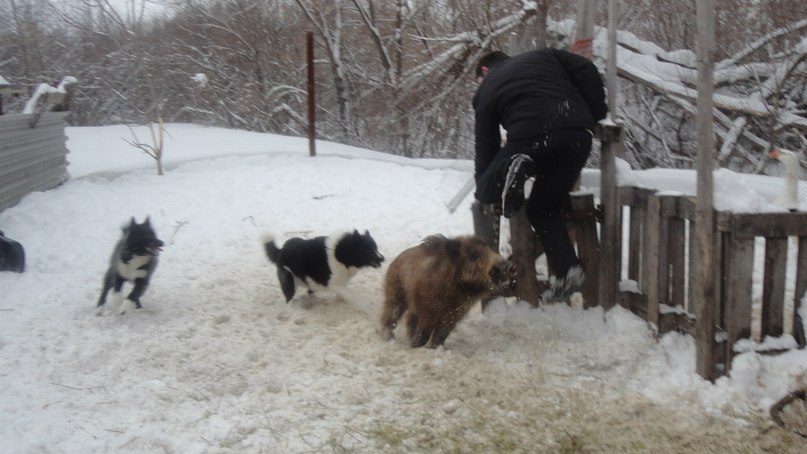 Нияз Гарифуллин | Казань