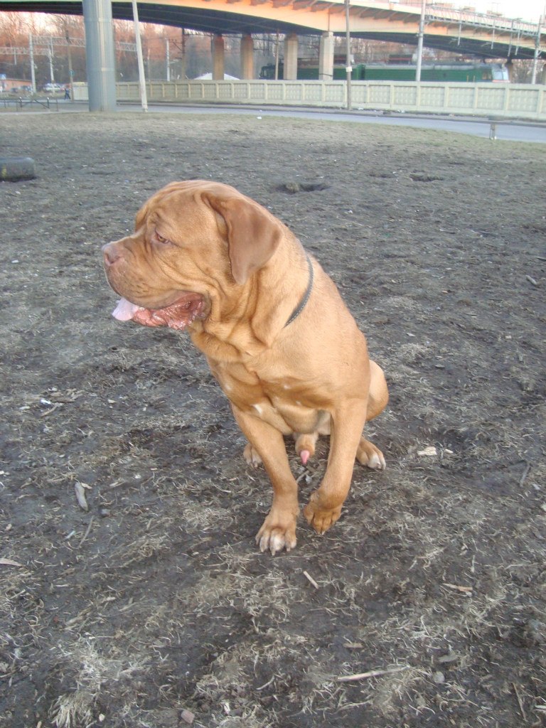 Паша Кузнецов | Санкт-Петербург