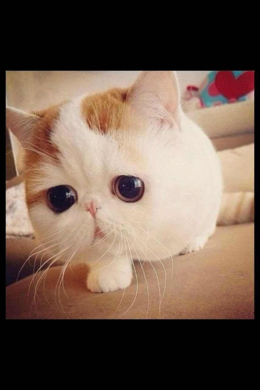 Эрик Салль | Москва