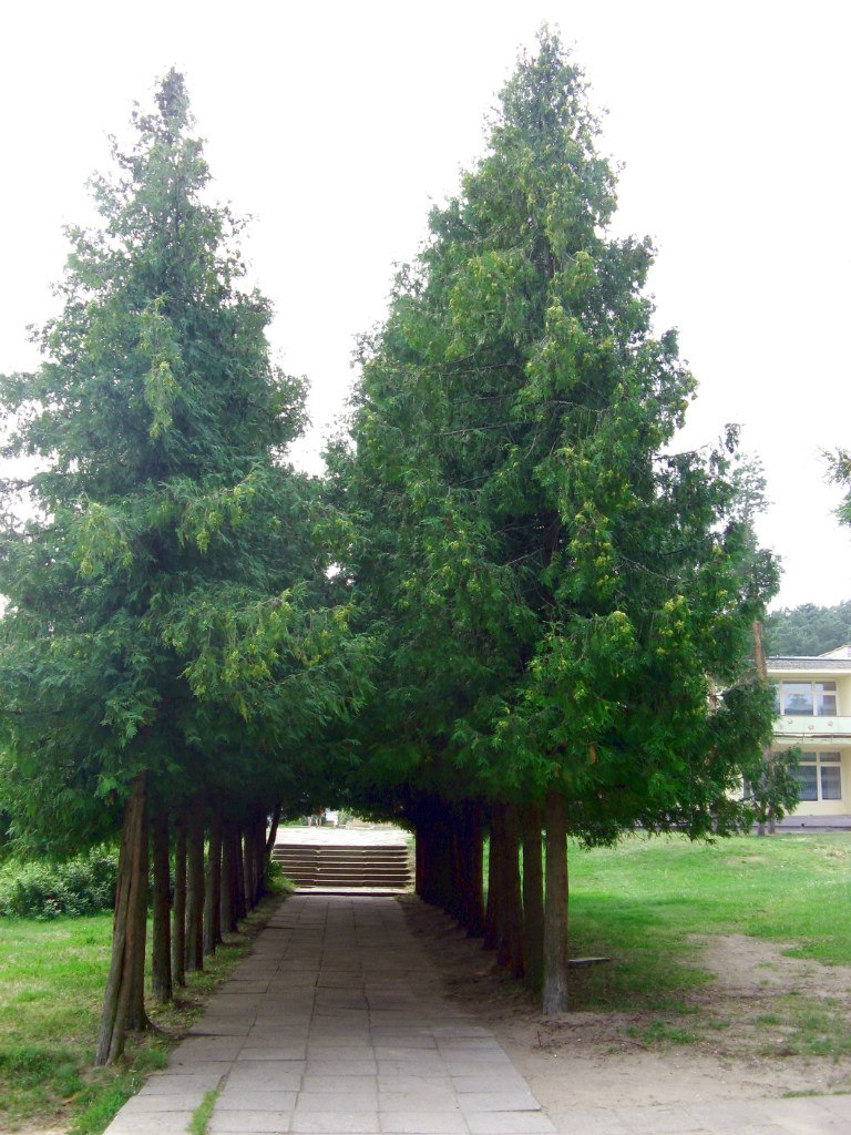 Андрей Кил | Витебск