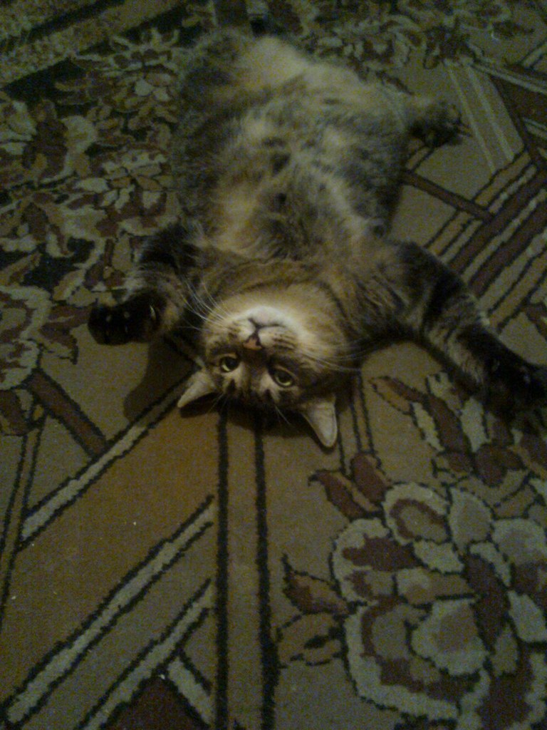 Андрей Когут | Нижний Тагил