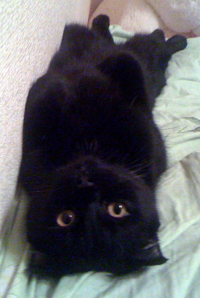 Elizabeth Plis | Ставрополь