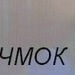 Алсу Минлибаева фотография #26 (источник - https://vk.com/id55856249)