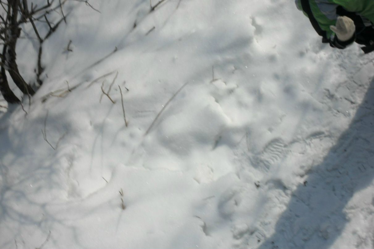 Ян Шитиков | Екатеринбург