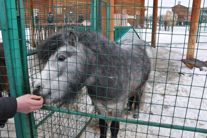 Андрей Гисматов | Нижнекамск