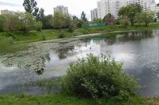 051                        05 06 2016 Г               ВОСКРЕСНАЯ    ПРОГУЛКА ....