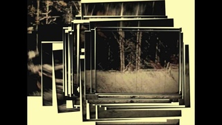 Patterson Gimlin Bigfoot film 1967, the best stabilization of all 5 parts of the film.
