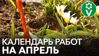 НЕ ЗАБУДЬТЕ СДЕЛАТЬ ЭТИ РАБОТЫ В САДУ, ОГОРОДЕ И ЦВЕТНИКЕ В АПРЕЛЕ!